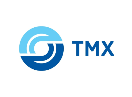 https://www.tmholding.ru/